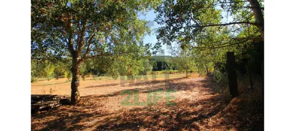 Замки и поместья с 11 спальнями в Orjais, Португалия № 170265 3