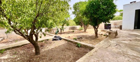 6 bedrooms House in Palma de Majorca, Spain No. 242080 7