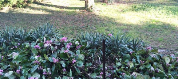 3-Zimmer Wohnung in Mödling, Austria, Nr. 149594 20