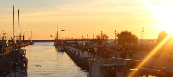 16 rooms Villa in Viareggio, Italy No. 221187 4