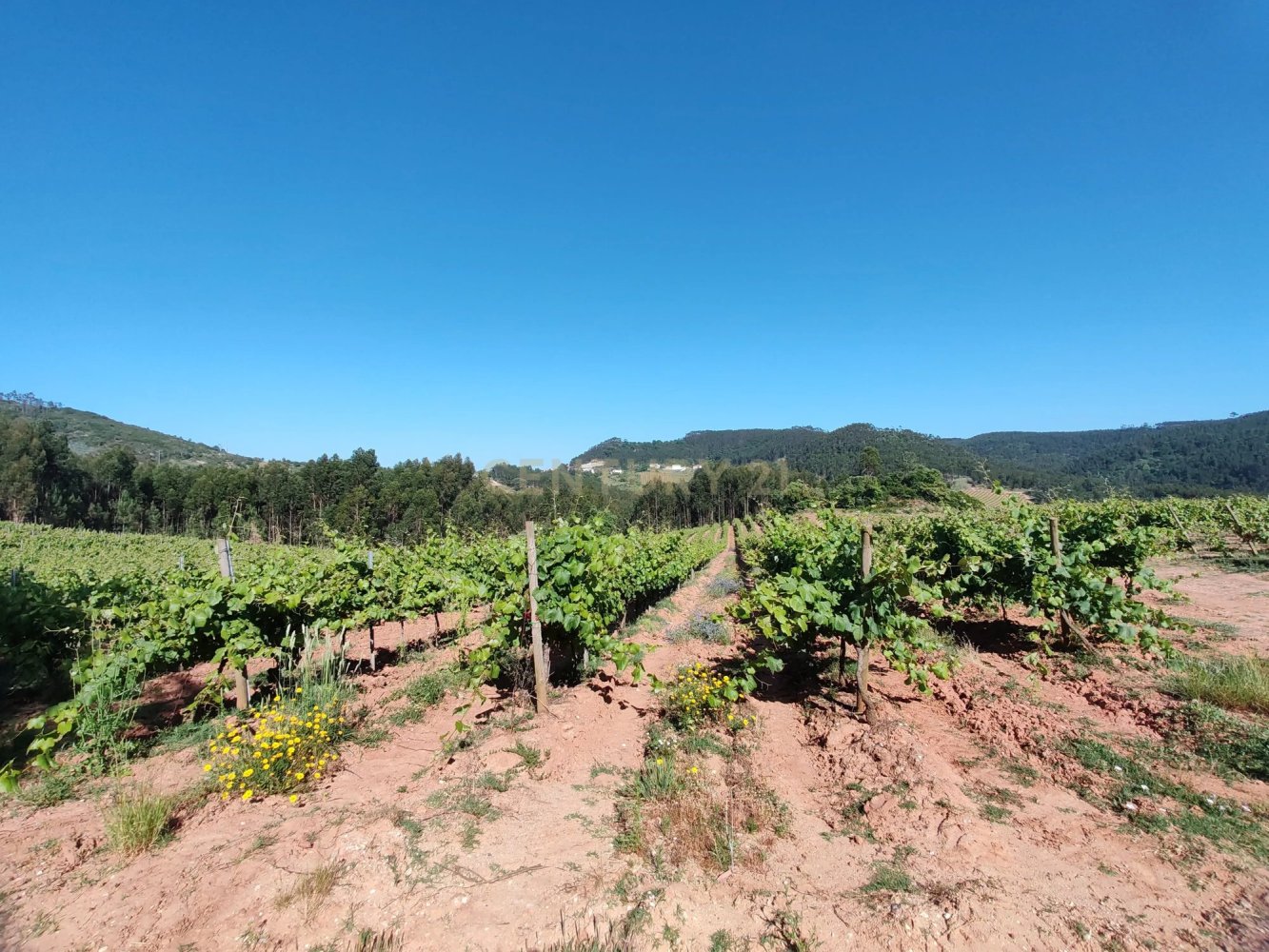  Land in Mafra, Portugal No. 201743