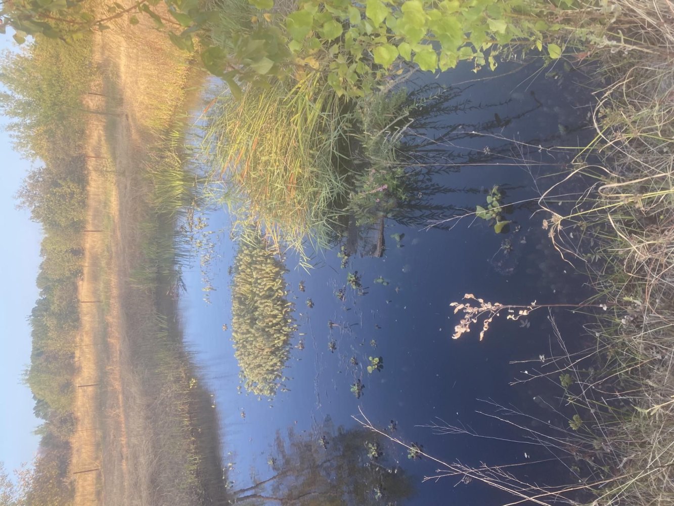 Terreno em Arenas de San Pedro, Spain 20000 m² N.º 194130