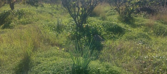 2 Schlafzimmer Haus in Estepona, Spain, Nr. 123492 14