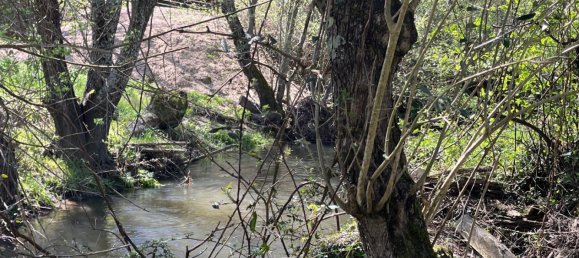2 Schlafzimmer Haus in Tabua, Portugal, Nr. 158142 32