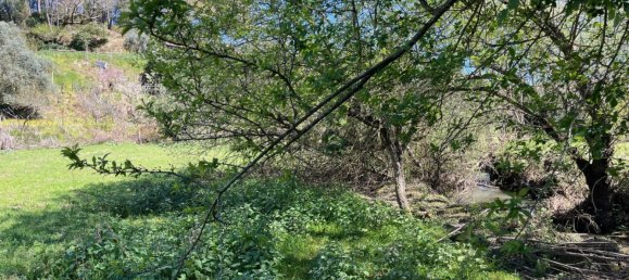 2 Schlafzimmer Haus in Tabua, Portugal, Nr. 158142 35