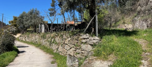 2 Schlafzimmer Haus in Tabua, Portugal, Nr. 158142 5