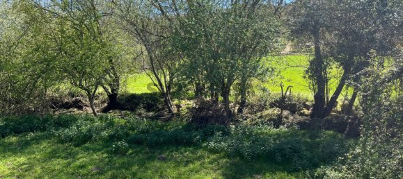 2 Schlafzimmer Haus in Tabua, Portugal, Nr. 158142 31