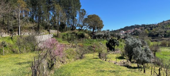 2 Schlafzimmer Haus in Tabua, Portugal, Nr. 158142 29