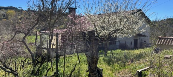 2 Schlafzimmer Haus in Tabua, Portugal, Nr. 158142 27