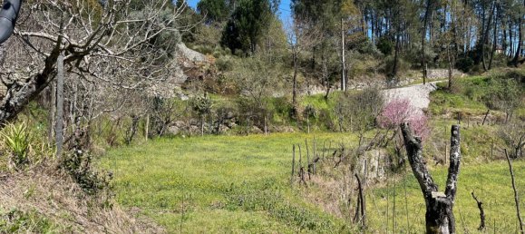 2 Schlafzimmer Haus in Tabua, Portugal, Nr. 158142 26