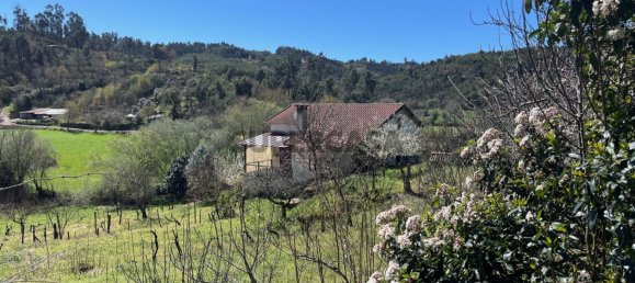 2 Schlafzimmer Haus in Tabua, Portugal, Nr. 158142 4