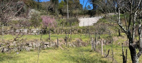 2 Schlafzimmer Haus in Tabua, Portugal, Nr. 158142 23