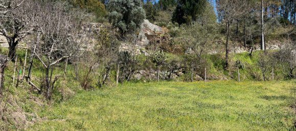 2 Schlafzimmer Haus in Tabua, Portugal, Nr. 158142 28