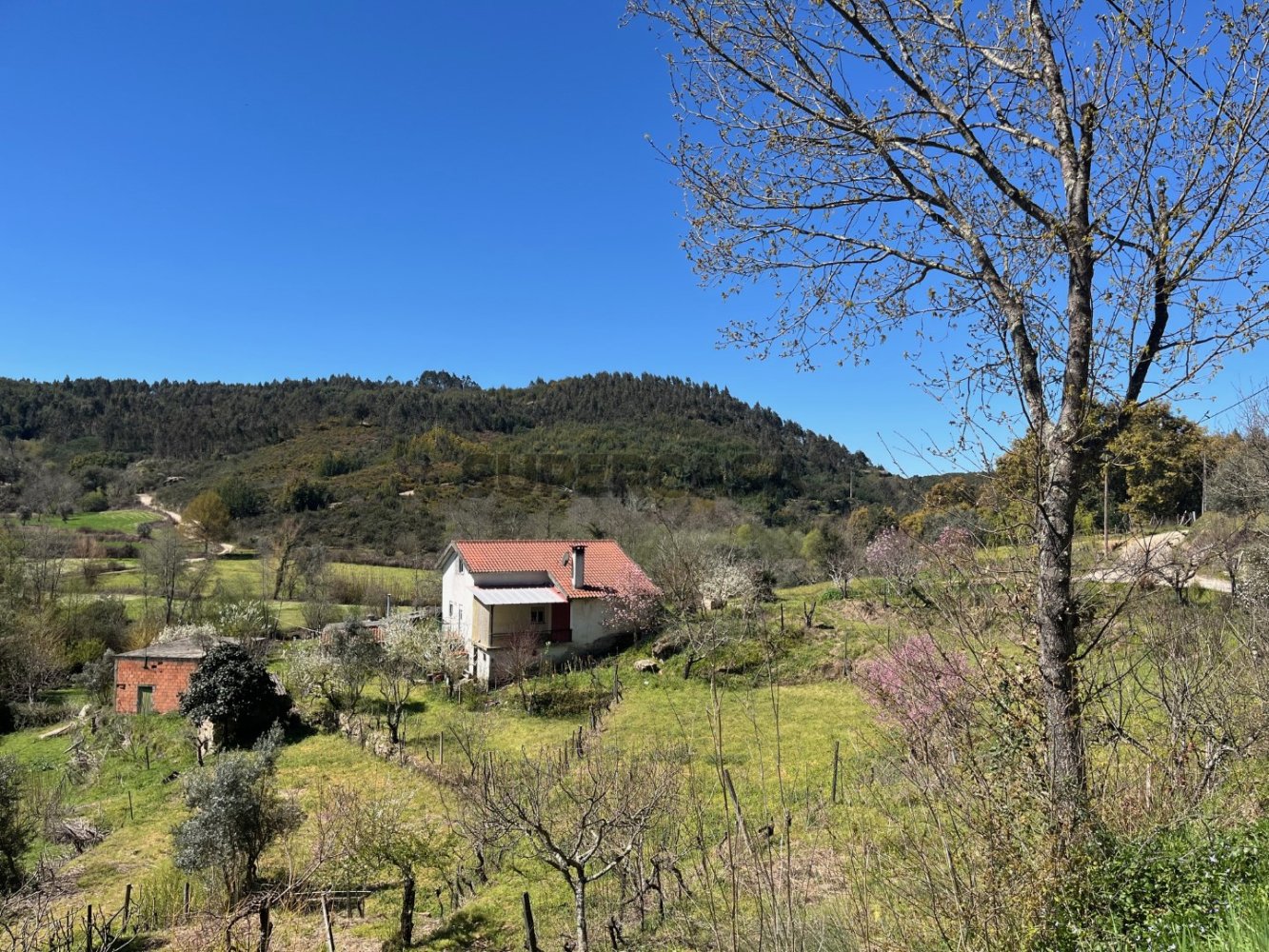 2 Schlafzimmer Haus in Tabua, Portugal, Nr. 158142