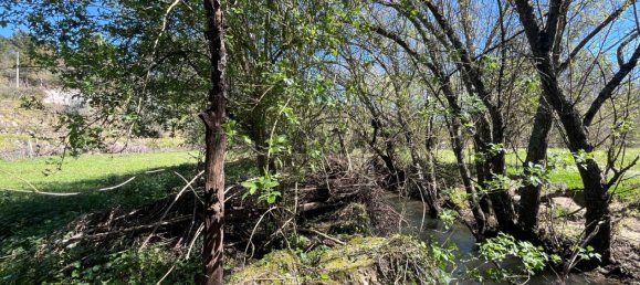 2 Schlafzimmer Haus in Tabua, Portugal, Nr. 158142 33