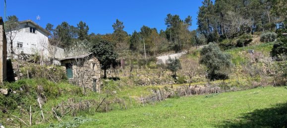 2 Schlafzimmer Haus in Tabua, Portugal, Nr. 158142 34