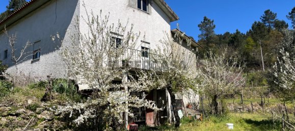 2 Schlafzimmer Haus in Tabua, Portugal, Nr. 158142 3