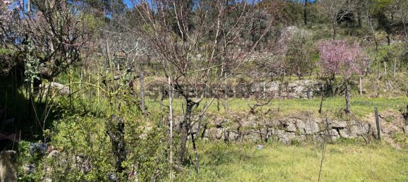 2 Schlafzimmer Haus in Tabua, Portugal, Nr. 158142 24