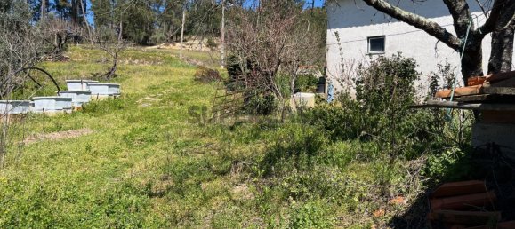 2 Schlafzimmer Haus in Tabua, Portugal, Nr. 158142 25