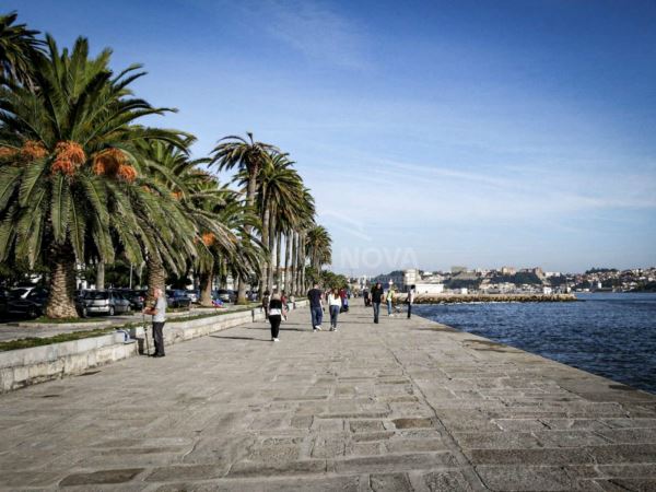 3 bedrooms Apartment in Porto, Portugal No. 51665