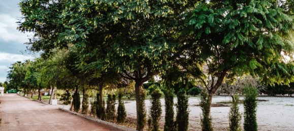 1 bedroom Villa in Catral, Spain No. 13575 29