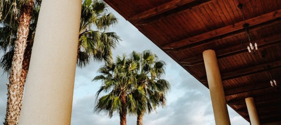 1 bedroom Villa in Catral, Spain No. 13575 23