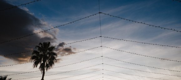 1 bedroom Villa in Catral, Spain No. 13575 22