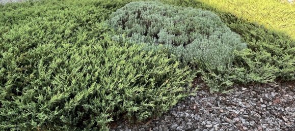 8 rooms House in Wetteraukreis, Germany No. 84806 23