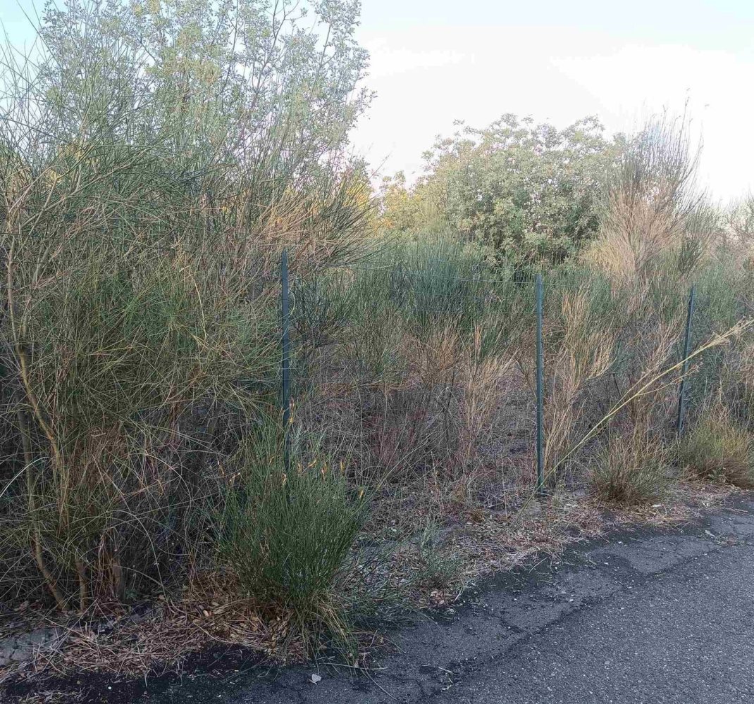 6656m² Land in Mascalucia, Italy No. 267610