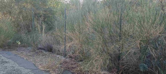 6656m² Land in Mascalucia, Italy No. 267610 5