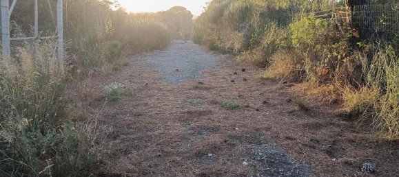 6656m² Land in Mascalucia, Italy No. 267610 6