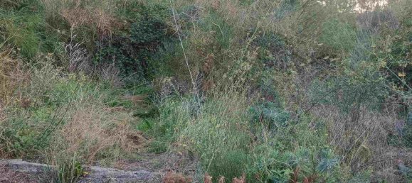 6656m² Land in Mascalucia, Italy No. 267610 8