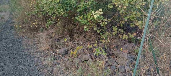 6656m² Land in Mascalucia, Italy No. 267610 10