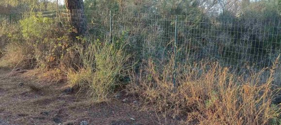 6656m² Land in Mascalucia, Italy No. 267610 4