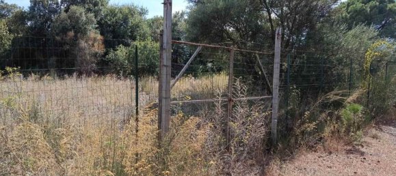 6656m² Land in Mascalucia, Italy No. 267610 13