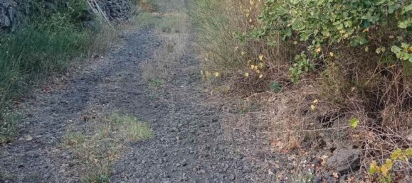 6656m² Land in Mascalucia, Italy No. 267610 11