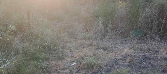 6656m² Land in Mascalucia, Italy No. 267610 9