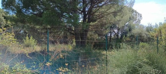 6656m² Land in Mascalucia, Italy No. 267610 12