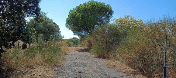 6656m² Land in Mascalucia, Italy No. 267610 2
