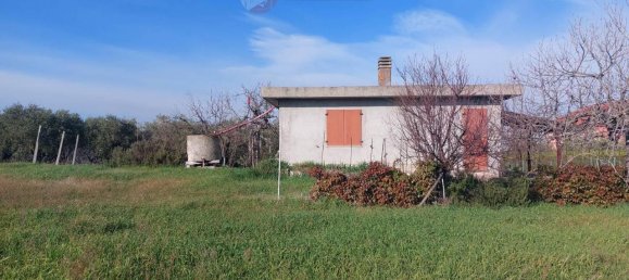 4 rooms Land in Misano Adriatico, Italy No. 29770 9