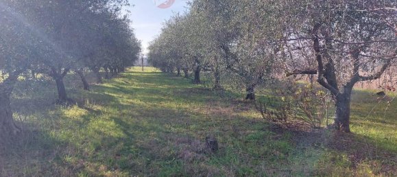 4 rooms Land in Misano Adriatico, Italy No. 29770 6