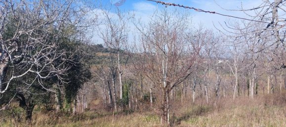 4 rooms Land in Misano Adriatico, Italy No. 29770 8