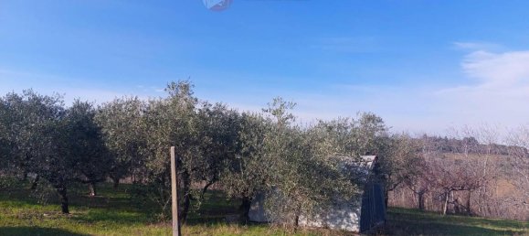 4 rooms Land in Misano Adriatico, Italy No. 29770 3