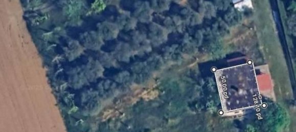 4 rooms Land in Misano Adriatico, Italy No. 29770 2