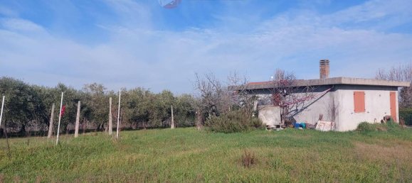 4 rooms Land in Misano Adriatico, Italy No. 29770 18