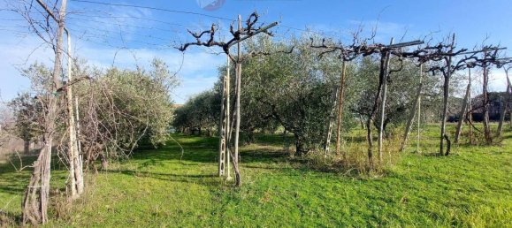 4 rooms Land in Misano Adriatico, Italy No. 29770 10