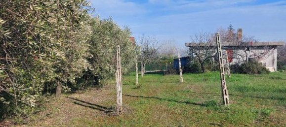4 rooms Land in Misano Adriatico, Italy No. 29770 11
