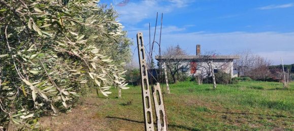 4 rooms Land in Misano Adriatico, Italy No. 29770 12