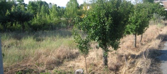 13 chambres Maison à Cacabelos, Spain No. 104830 17