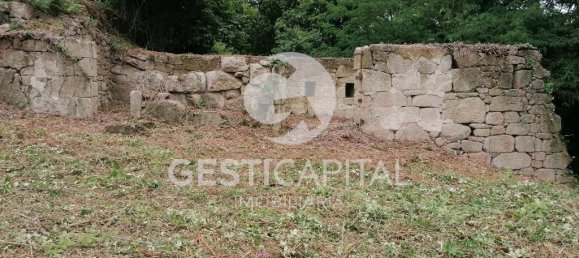 4 Schlafzimmer Haus in Marco de Canaveses, Portugal, Nr. 39574 22